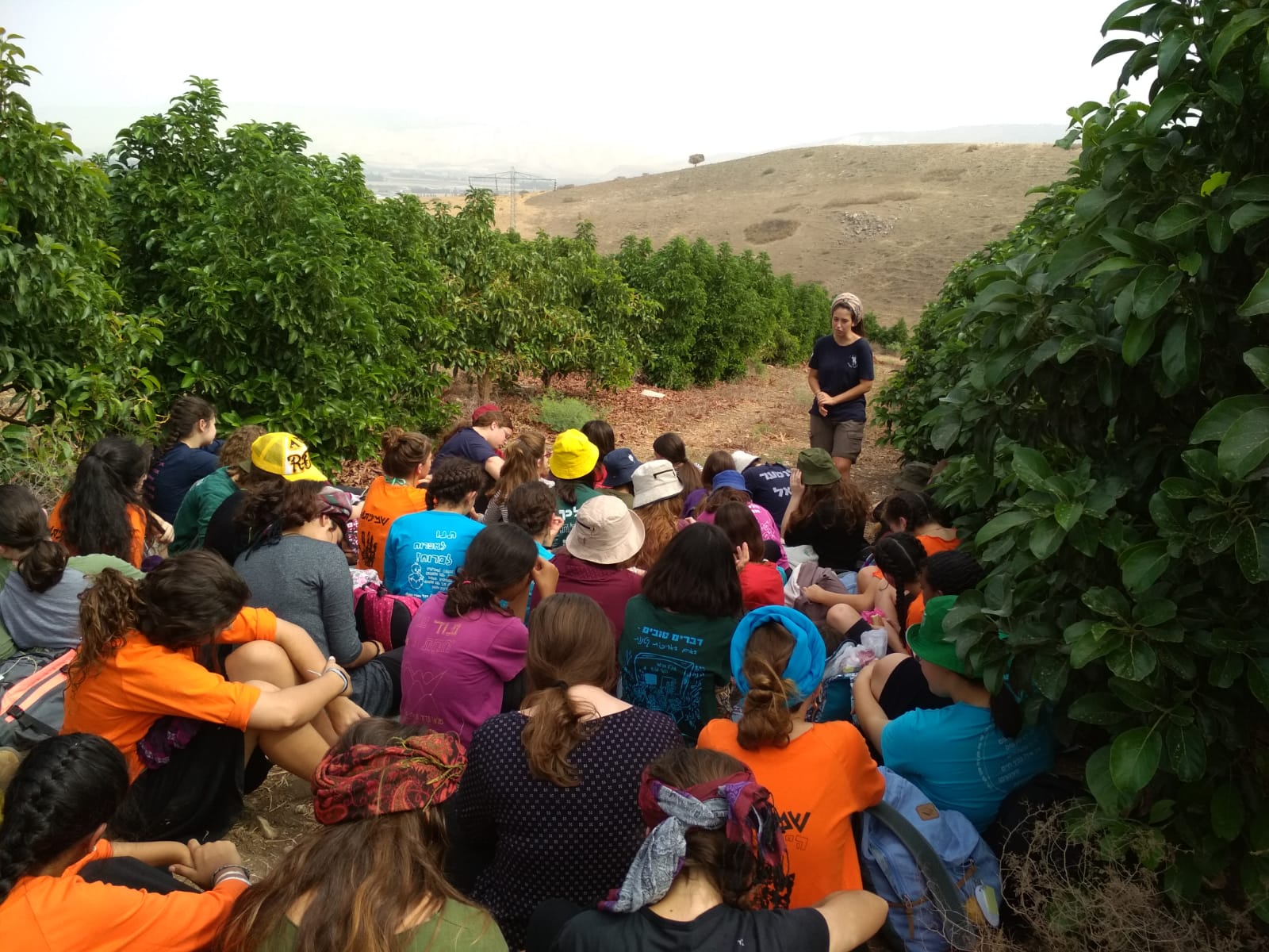 08d4b746-033b-4830-8a3d-ca2a46c608a9