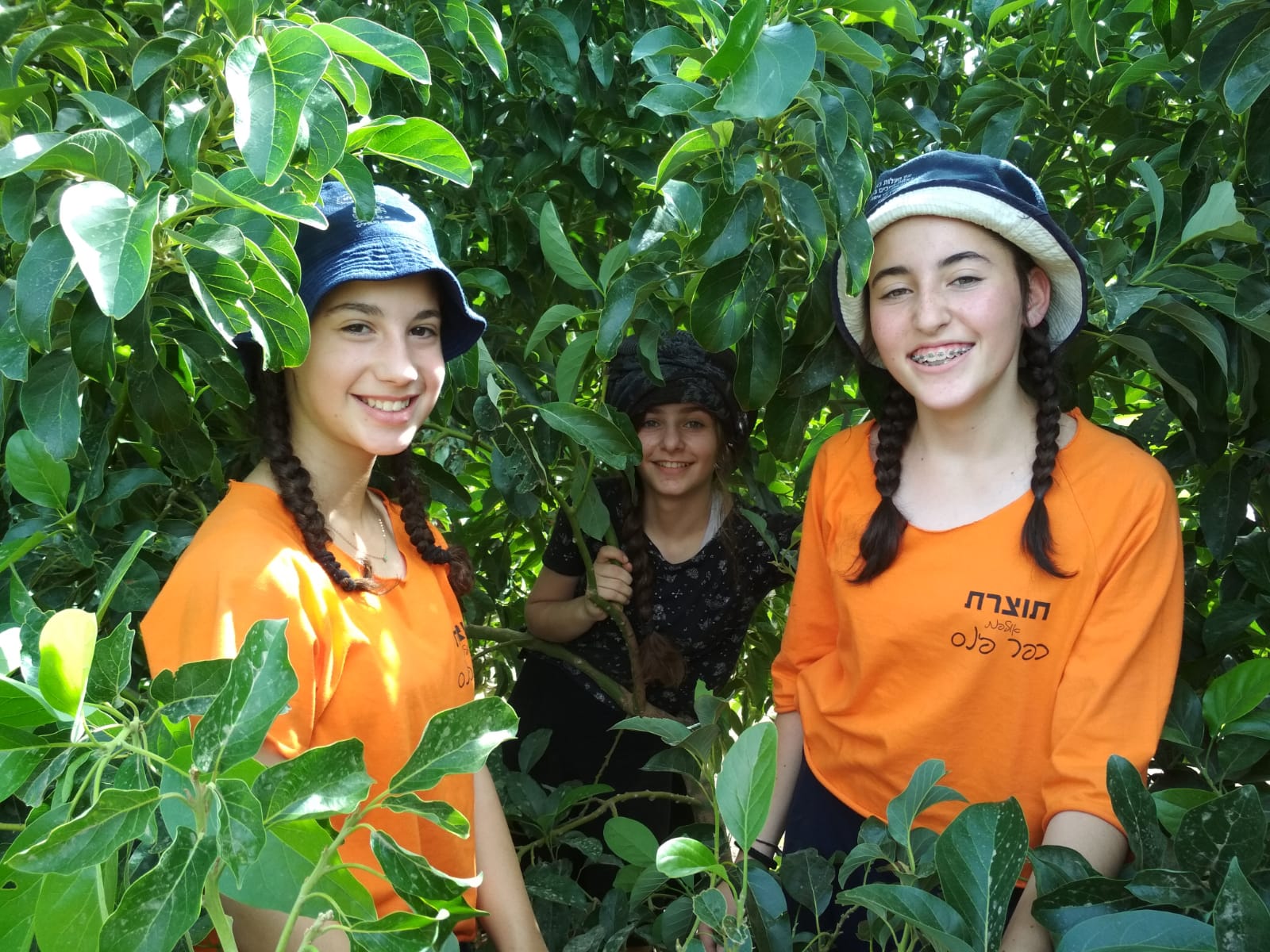 5db7a1a9-0200-4438-84cc-7658d9506cee