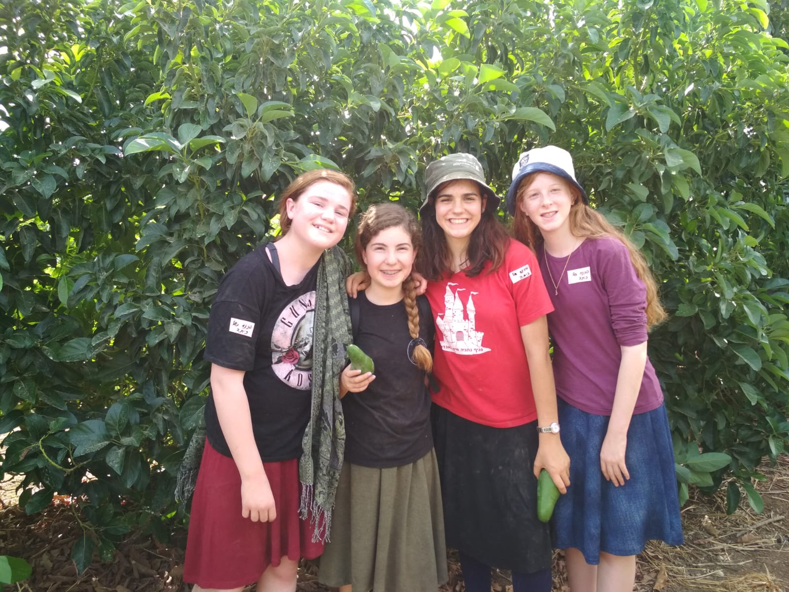 dfa4c09e-1aa6-4072-9068-fa944237ee39