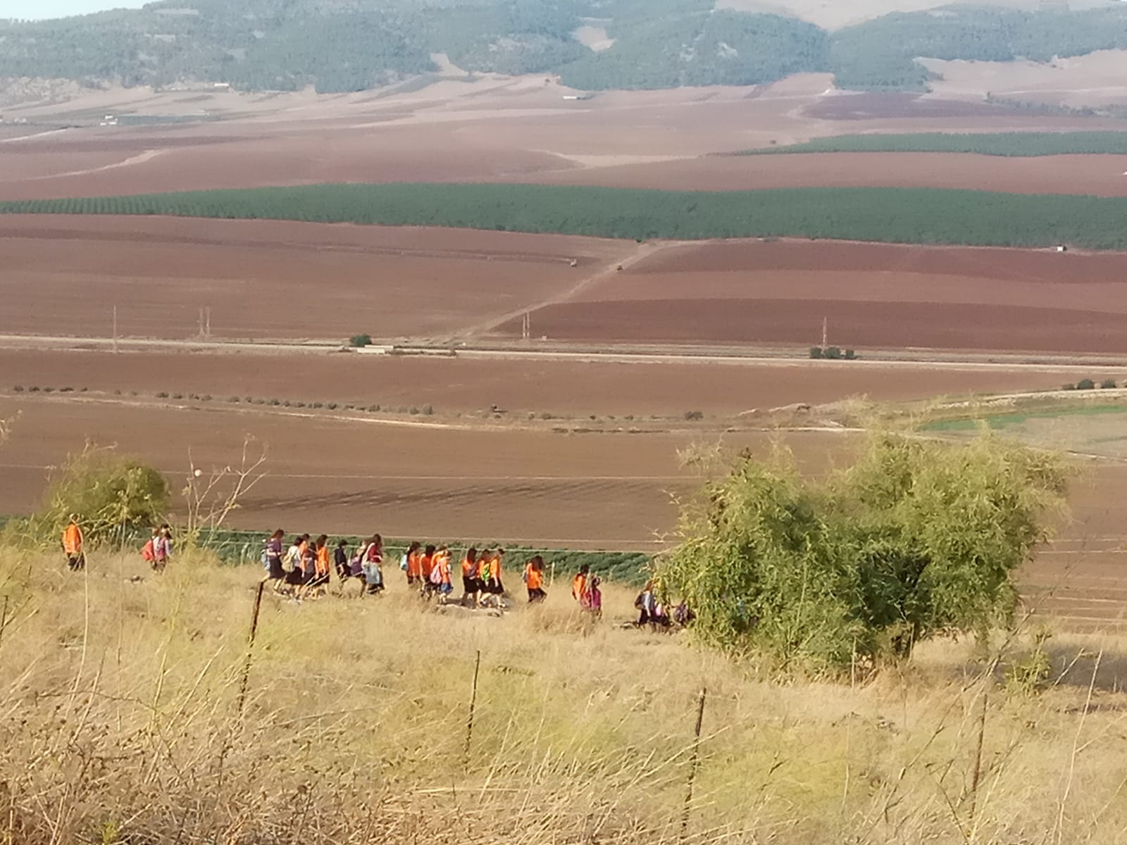 השבעה תשעט 2