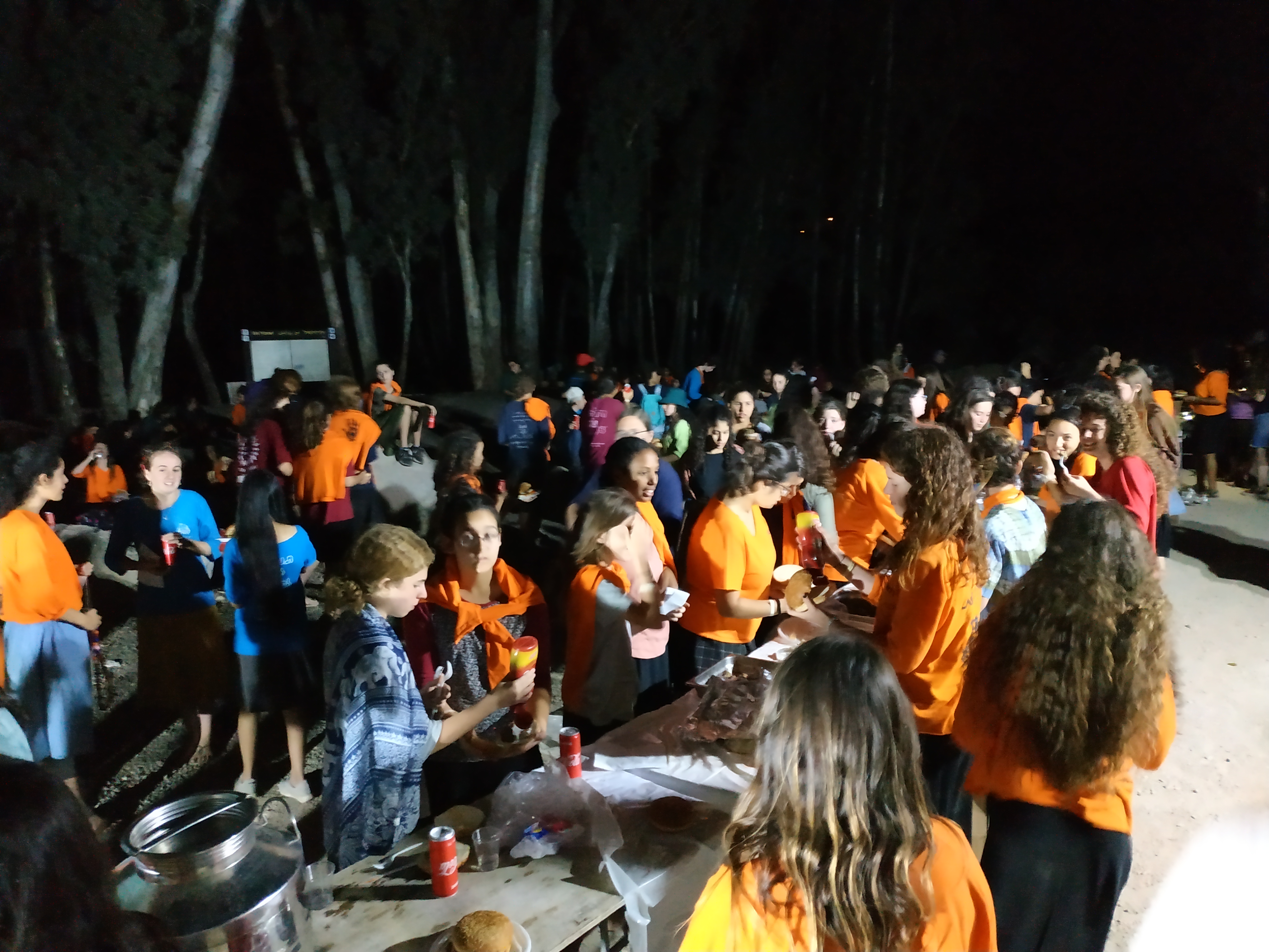 השבעה תשעט 6