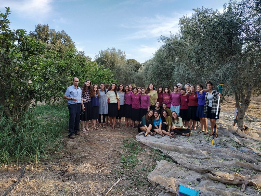 שכבת יא מסיק 1