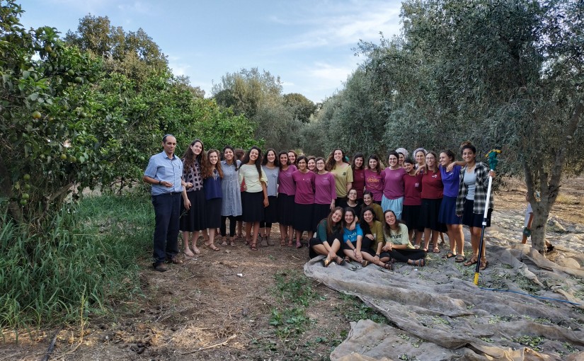 שכבת יא מסיק 1