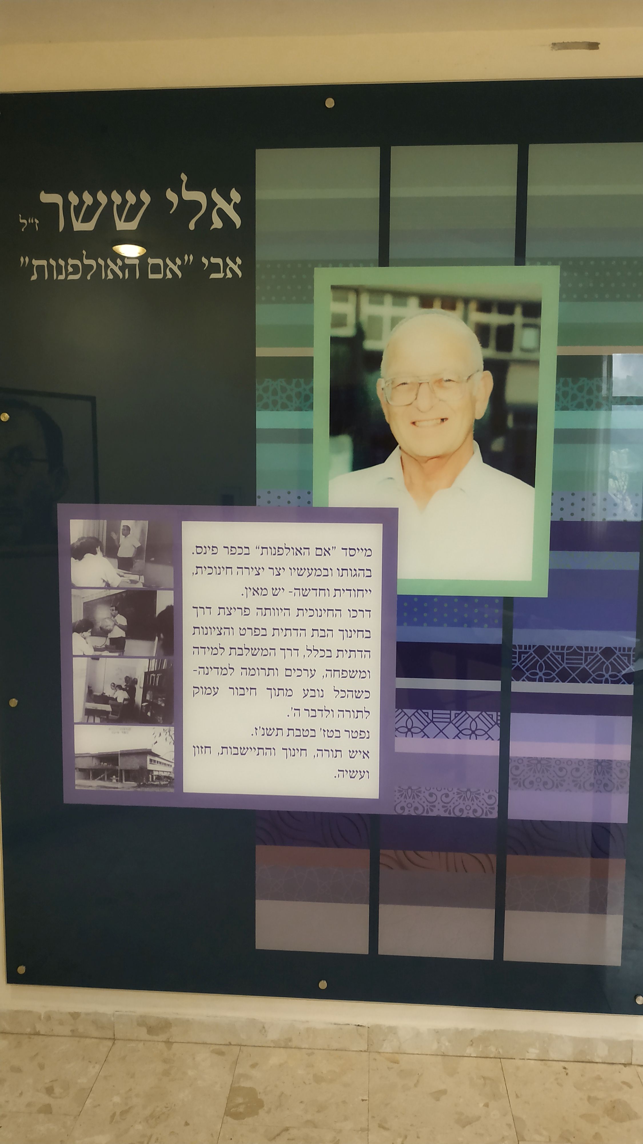 אלי ששר