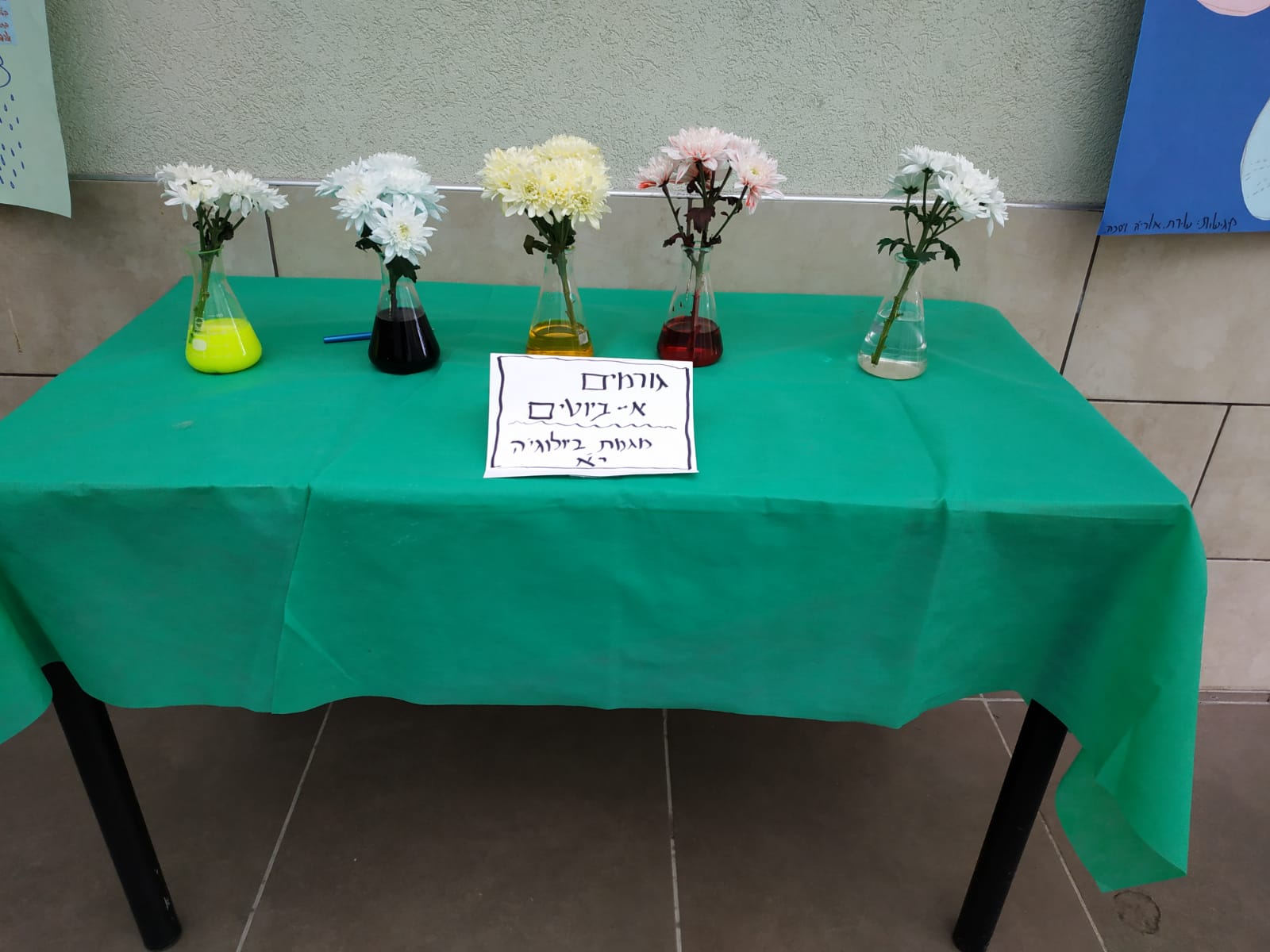 נסיוי פרחים צבעוניים
