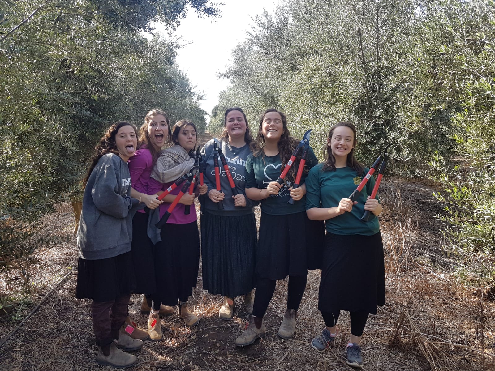 95baa767-b663-457f-9194-c352694ebac1