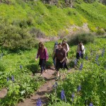 IMG-20240228-WA0044